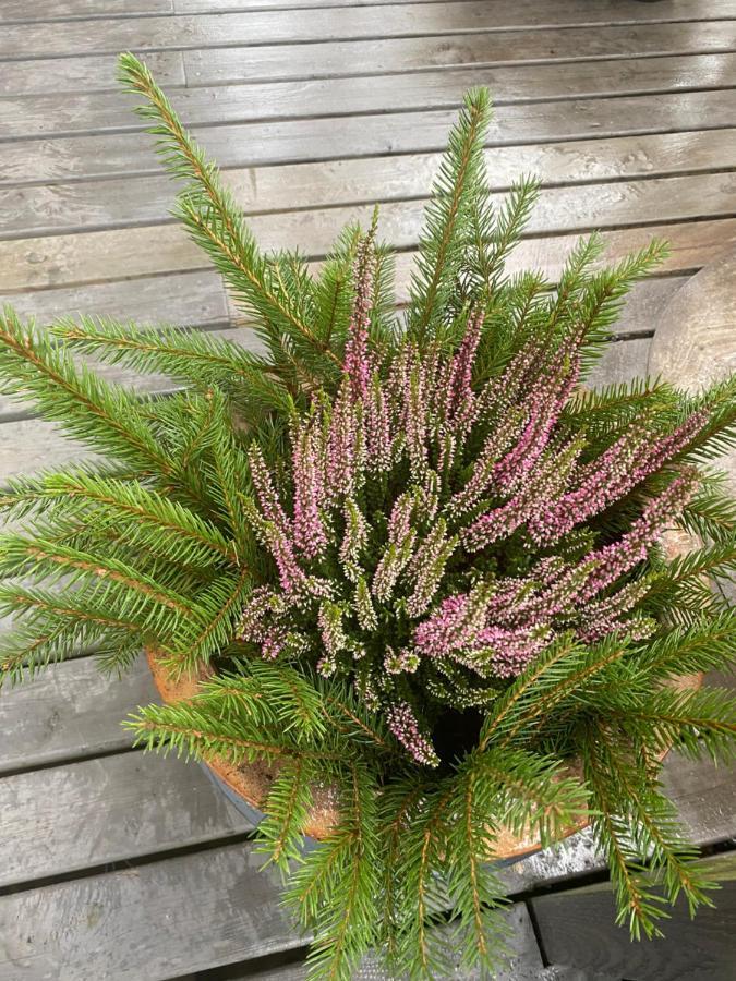 Kaaro 2 Cottage Hillosensalmi Dış mekan fotoğraf